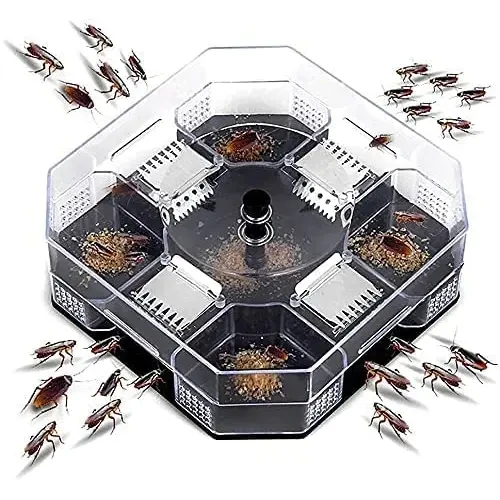 Cockroach Trap